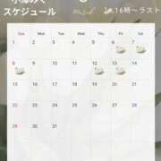 ヒメ日記 2026/02/28 13:01 投稿 小澤みく 華椿