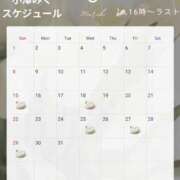 ヒメ日記 2026/03/14 12:31 投稿 小澤みく 華椿