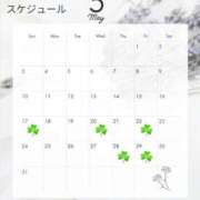 ヒメ日記 2026/05/17 12:31 投稿 小澤みく 華椿