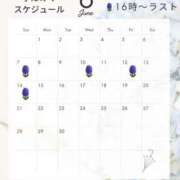 ヒメ日記 2026/05/30 12:31 投稿 小澤みく 華椿