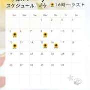 ヒメ日記 2026/06/29 12:46 投稿 小澤みく 華椿