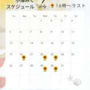 ヒメ日記 2026/07/16 12:31 投稿 小澤みく 華椿