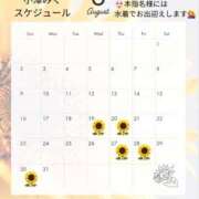 ヒメ日記 2026/08/19 12:46 投稿 小澤みく 華椿