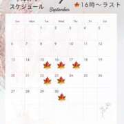 ヒメ日記 2026/09/12 12:31 投稿 小澤みく 華椿