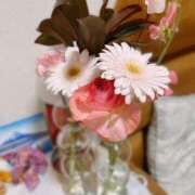 ヒメ日記 2025/12/27 00:01 投稿 天海わこ 華椿