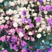 ヒメ日記 2025/12/27 22:16 投稿 天海わこ 華椿