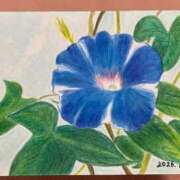 ヒメ日記 2026/01/19 15:16 投稿 天海わこ 華椿