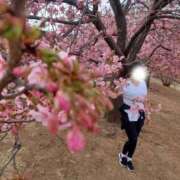 ヒメ日記 2026/02/28 16:46 投稿 天海わこ 華椿