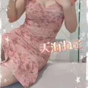 ヒメ日記 2026/03/18 21:01 投稿 天海わこ 華椿