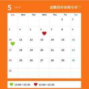 ヒメ日記 2026/04/23 18:16 投稿 かなん CUTE