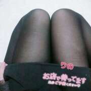 ヒメ日記 2025/12/18 07:01 投稿 早川りの 華椿