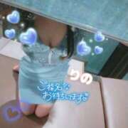 ヒメ日記 2025/12/18 08:16 投稿 早川りの 華椿