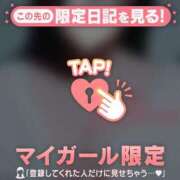 ヒメ日記 2025/12/28 11:46 投稿 早川りの 華椿