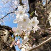 ヒメ日記 2026/04/05 21:16 投稿 石川あかり MADAM