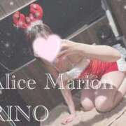 ヒメ日記 2025/12/20 09:16 投稿 リノ アリスマリオン