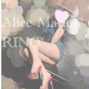 ヒメ日記 2025/12/28 08:01 投稿 リノ アリスマリオン