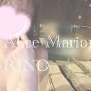 ヒメ日記 2025/12/29 12:01 投稿 リノ アリスマリオン