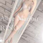 ヒメ日記 2026/01/24 09:16 投稿 リノ アリスマリオン