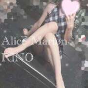 ヒメ日記 2026/02/21 08:31 投稿 リノ アリスマリオン