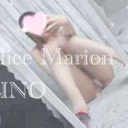 ヒメ日記 2026/03/15 17:31 投稿 リノ アリスマリオン