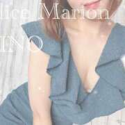 ヒメ日記 2026/04/29 08:31 投稿 リノ アリスマリオン