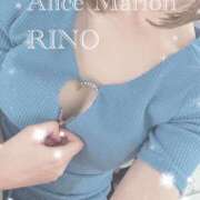 リノ いるよー！ アリスマリオン