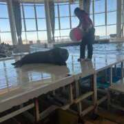 ヒメ日記 2025/12/29 10:01 投稿 福本かえで 華椿