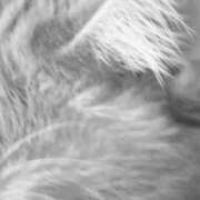 ヒメ日記 2025/12/25 10:31 投稿 藤本らん MADAM