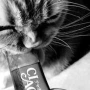 ヒメ日記 2026/01/11 09:16 投稿 藤本らん MADAM