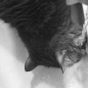 ヒメ日記 2026/01/18 12:01 投稿 藤本らん MADAM