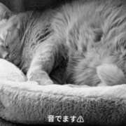 ヒメ日記 2026/01/26 14:01 投稿 藤本らん MADAM