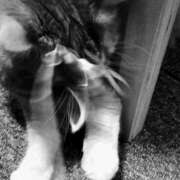 ヒメ日記 2026/02/11 14:31 投稿 藤本らん MADAM