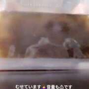 ヒメ日記 2026/02/28 13:31 投稿 藤本らん MADAM