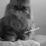 ヒメ日記 2026/03/18 12:16 投稿 藤本らん MADAM