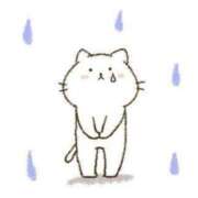 ヒメ日記 2026/07/02 11:46 投稿 藤本らん MADAM