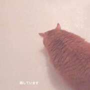 ヒメ日記 2026/09/02 11:01 投稿 藤本らん MADAM