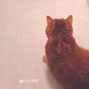 ヒメ日記 2026/09/02 11:16 投稿 藤本らん MADAM