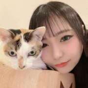 ヒメ日記 2025/12/20 05:01 投稿 桃園ちえ 華椿