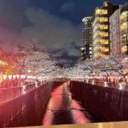 高梨じゅり お花見? 華椿