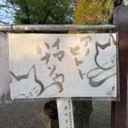 ヒメ日記 2026/07/19 16:16 投稿 高梨じゅり 華椿