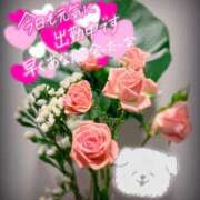 ヒメ日記 2025/12/17 06:16 投稿 奥村みさと MADAM