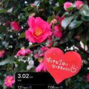 ヒメ日記 2025/12/25 07:31 投稿 奥村みさと MADAM