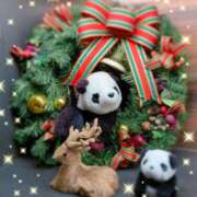 ヒメ日記 2025/12/25 12:16 投稿 奥村みさと MADAM