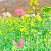 ヒメ日記 2025/12/30 08:16 投稿 奥村みさと MADAM