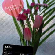 ヒメ日記 2026/01/29 08:31 投稿 奥村みさと MADAM