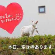 ヒメ日記 2026/02/04 06:16 投稿 奥村みさと MADAM