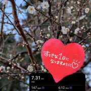 ヒメ日記 2026/02/06 08:31 投稿 奥村みさと MADAM