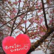 ヒメ日記 2026/02/11 09:16 投稿 奥村みさと MADAM