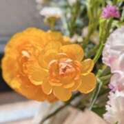 ヒメ日記 2026/02/19 12:16 投稿 奥村みさと MADAM