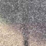 ヒメ日記 2026/02/21 13:16 投稿 奥村みさと MADAM